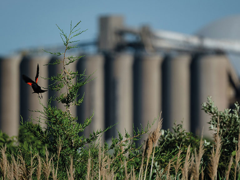 Why Choose Us: Make an Impact